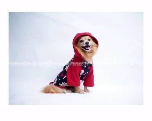  comfortable and stylish winter clothes for dog 3